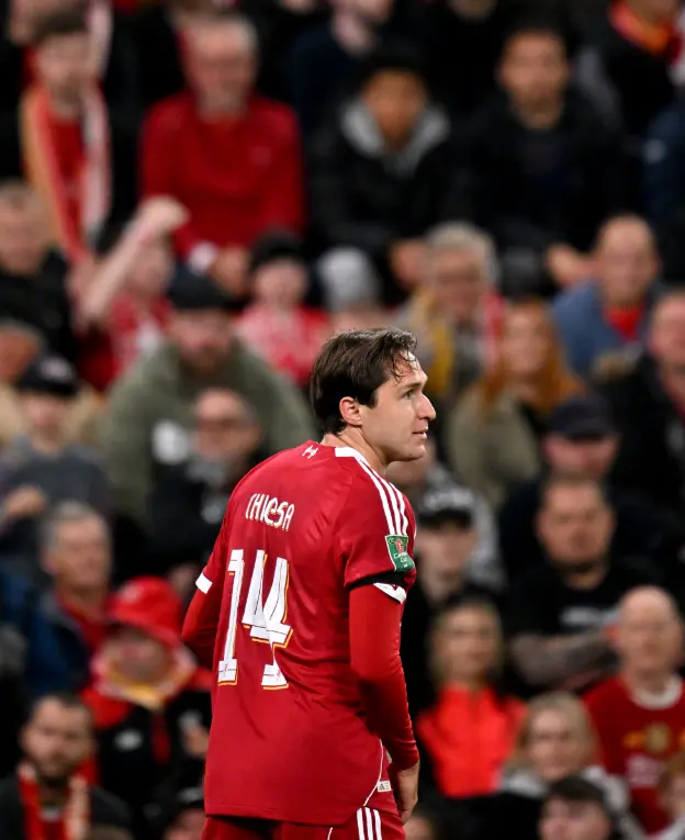 可以说无论, img, img