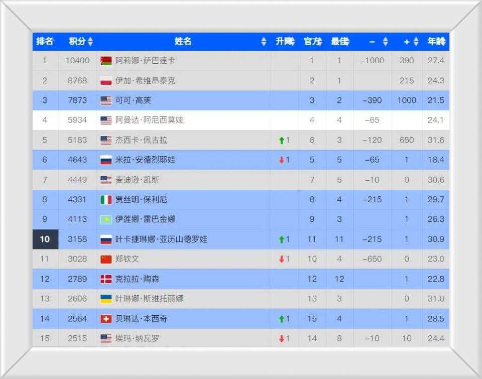 网冠军, 十中, 以及